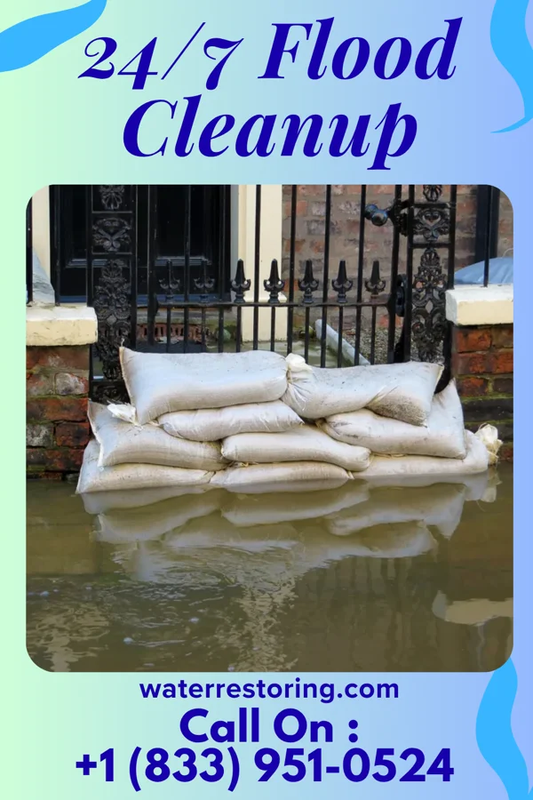 24/7 Flood Cleanup in Martinsville, IL