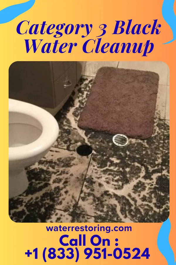 Category 3 Black Water Cleanup in Martinsville, IL