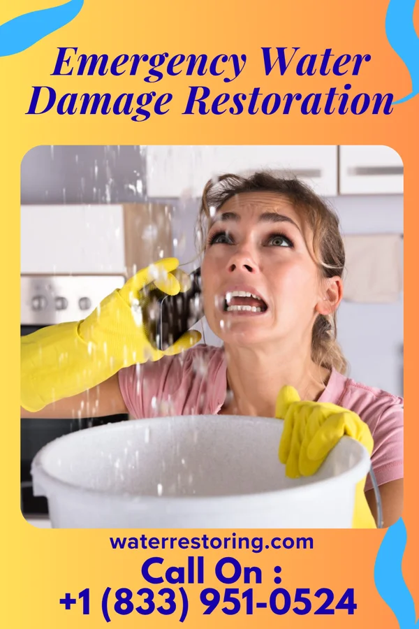 Emergency Water Damage Restoration in Martinsville, IL