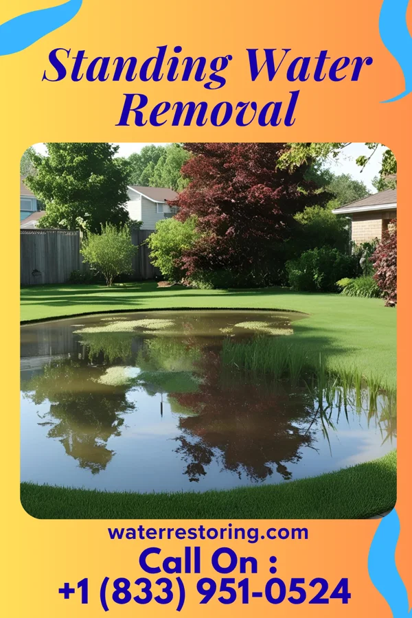 Standing Water Removal in Martinsville, IL